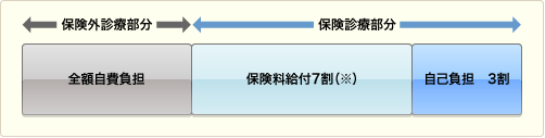 保険外併用療養費の仕組み